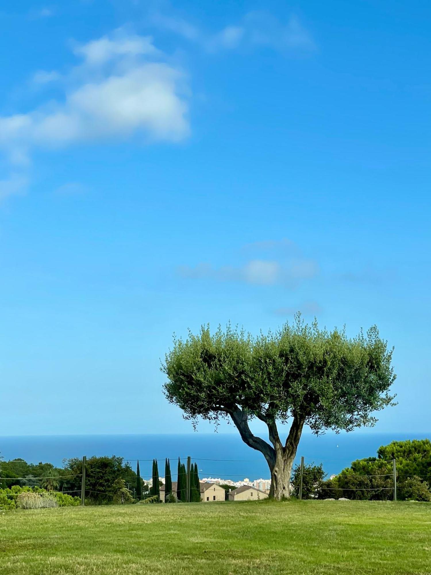 Palm Maresme - Suite With Bathroom And Terrasse With Ocean Views In A Private Villa Vilassar De Dalt Exteriér fotografie